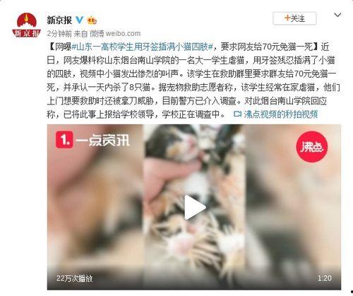 牙签最新爆料视频大全集,揭秘幕后真相,热点事件全解析 第2张 牙签最新爆料视频大全集,揭秘幕后真相,热点事件全解析 第2张